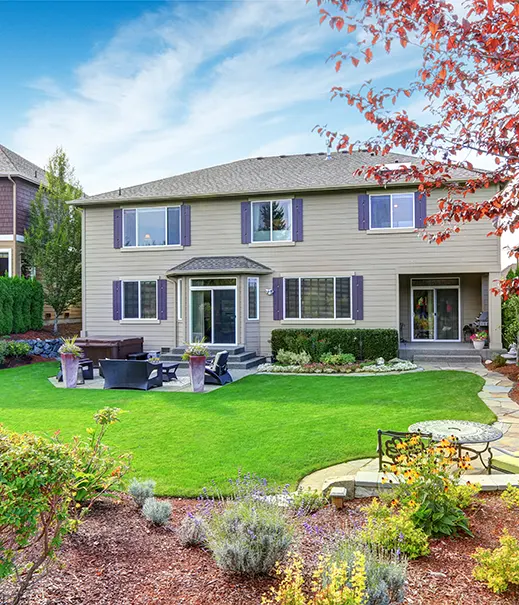 about_red_roses_landscaping