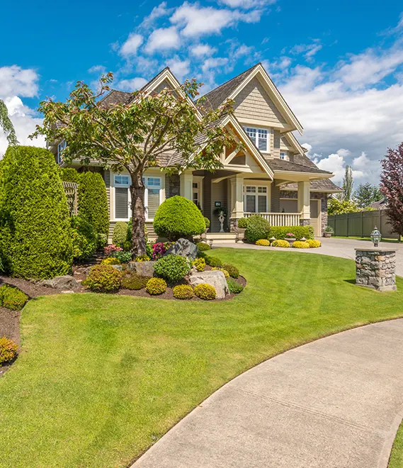 contact_red_roses_landscaping