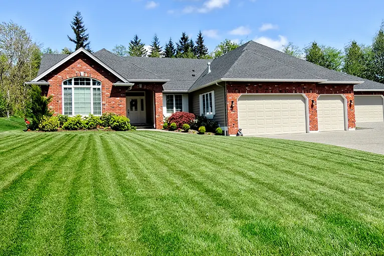 new-lawn-installation