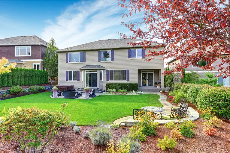 yard-maintenance-and-clean-up